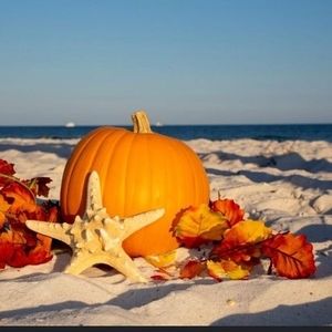 Meet your Posher, Theresa